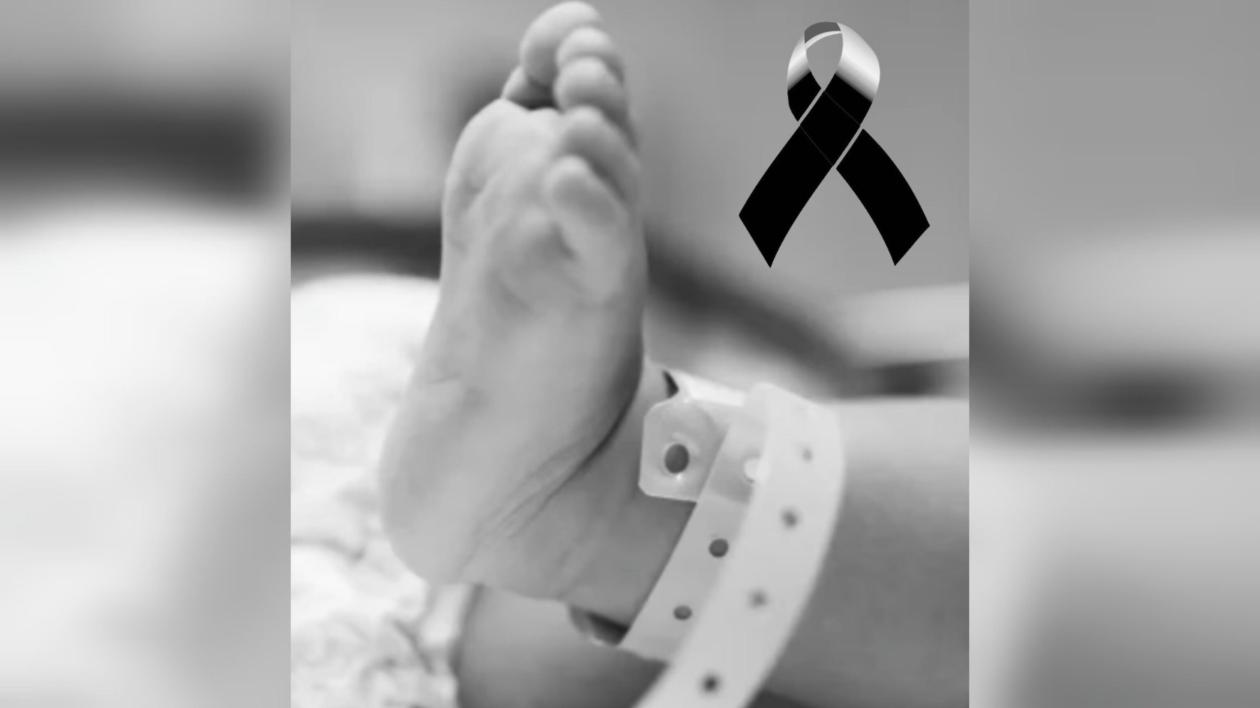 Imagen: Diseño ATiempo Noticias