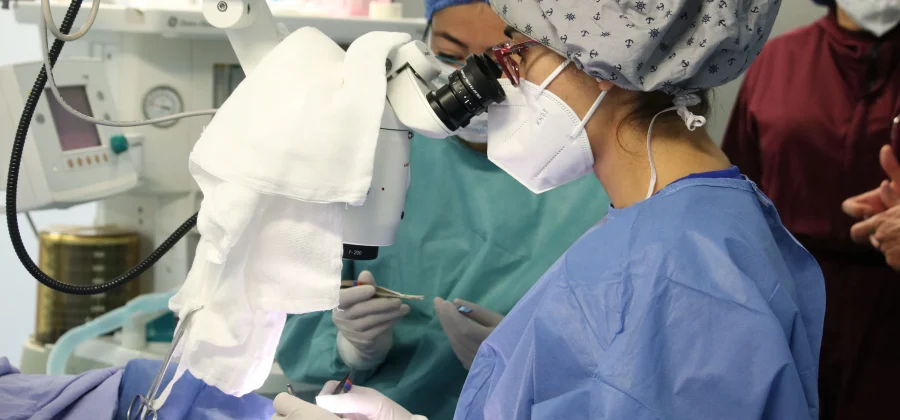 ¿Cuántos trasplantes realizó el IMSS en Puebla en 2026? Donación de órganos en Puebla: cifras y avances Qué implica la procuración de órganos en el IMSS